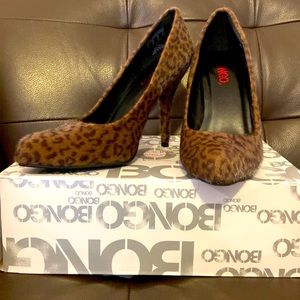 Brand new Bongo heals